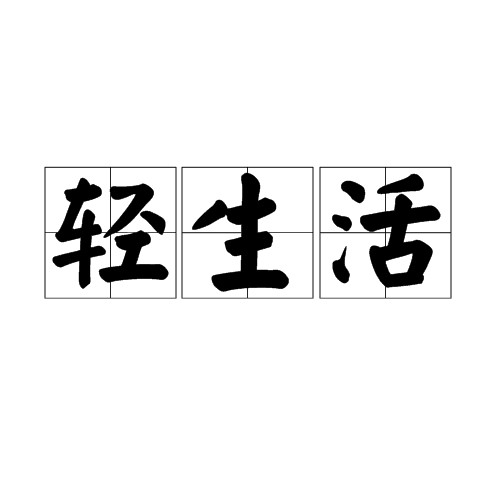 轻生活（生活概念）