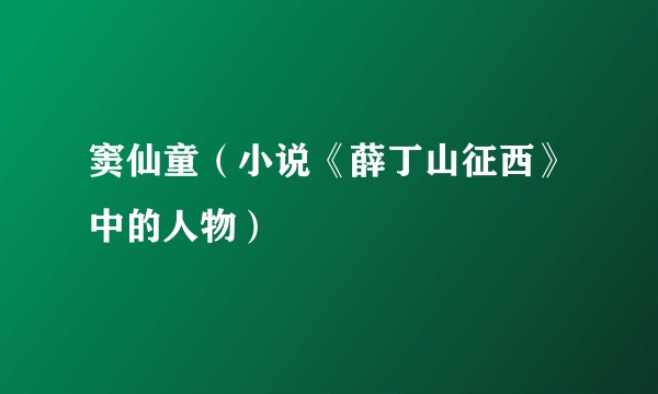 窦仙童(小说《薛丁山征西》中的人物)