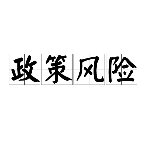政策风险