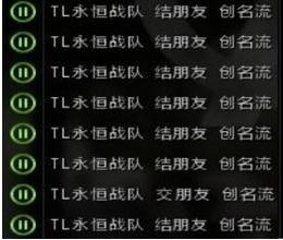TL战队