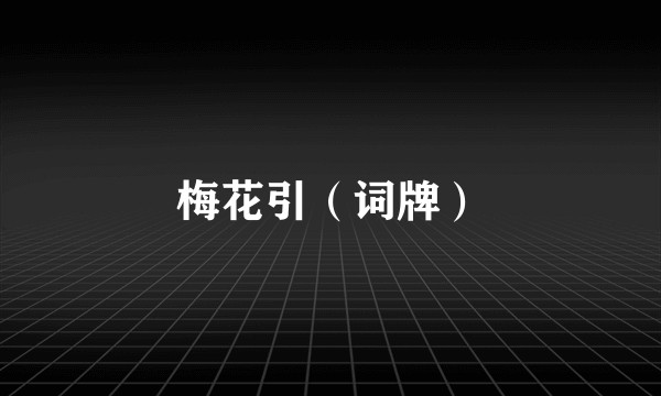 梅花引（词牌）