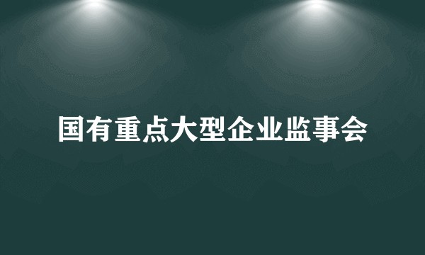 国有重点大型企业监事会