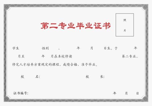 第二专业