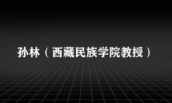 孙林（西藏民族学院教授）