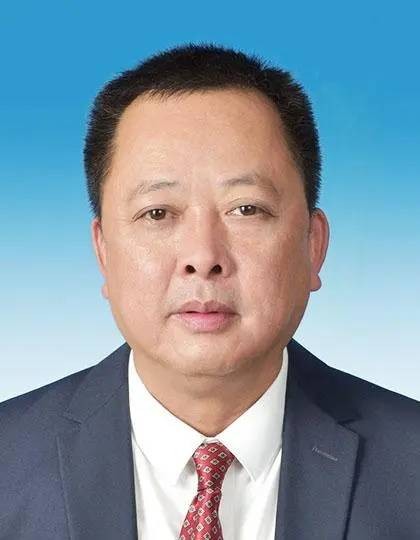莫桦