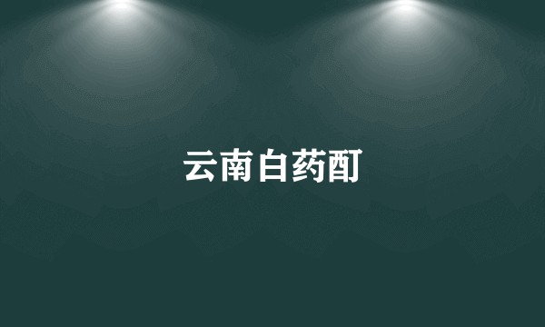 云南白药酊