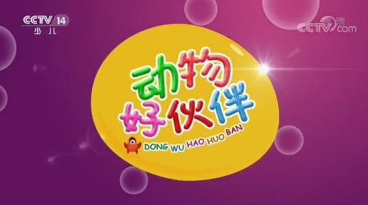 动物好伙伴