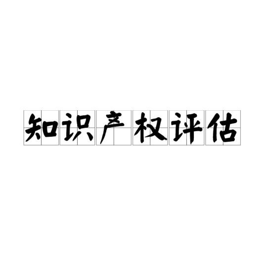 知识产权评估