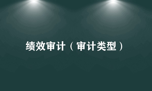 绩效审计（审计类型）
