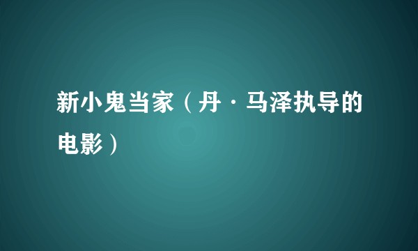 新小鬼当家（丹·马泽执导的电影）