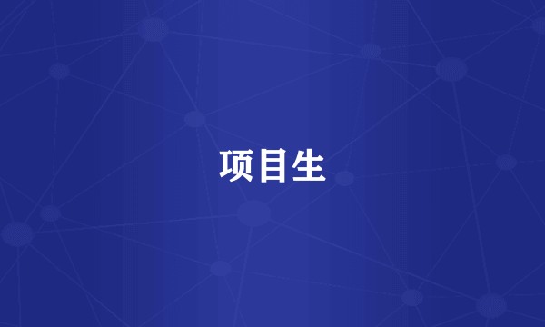 项目生