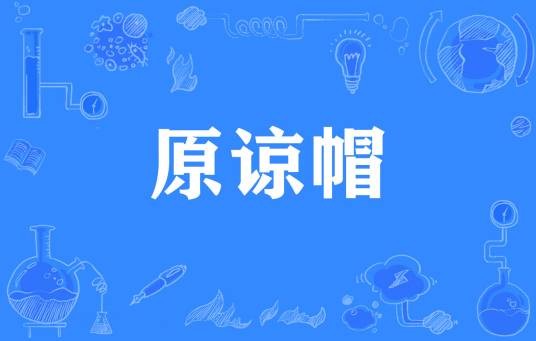 原谅帽