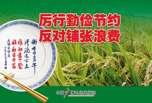 厉行勤俭节约反对铺张浪费（2013年2月中国广播电视出版社出版的图书）