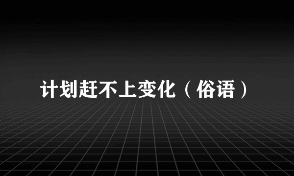 计划赶不上变化（俗语）
