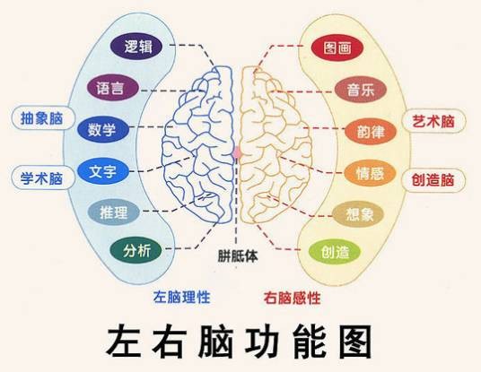 全脑开发（全方位开发大脑的潜能）