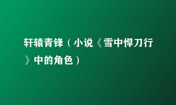 轩辕青锋（小说《雪中悍刀行》中的角色）