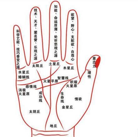财运线