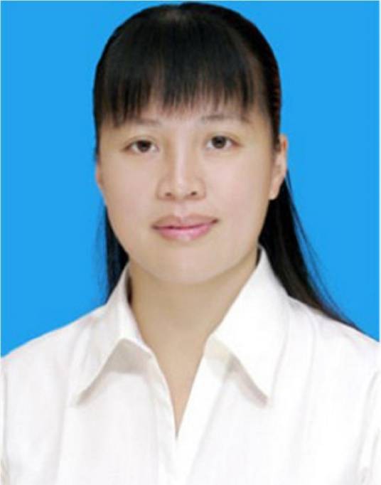 何婷婷（广西壮族自治区靖西市委常委、宣传部部长、市政府副市长）