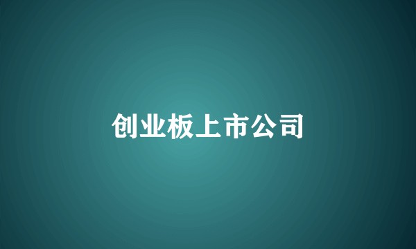 创业板上市公司