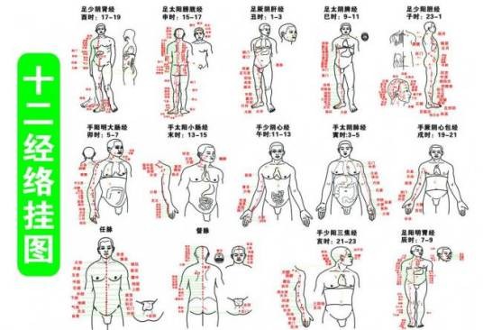 经穴