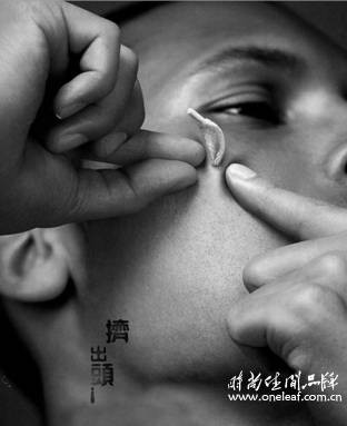 一片树叶