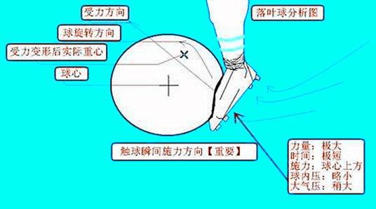 落叶球