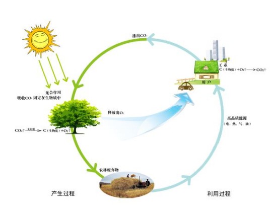 生物能源（能源种类）