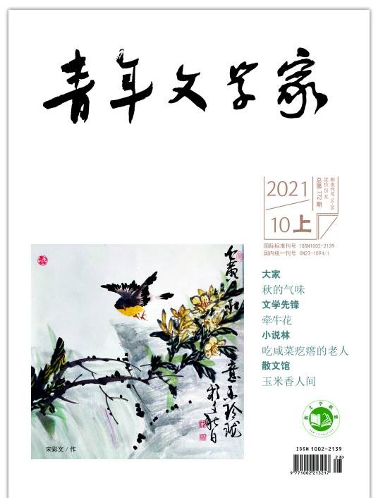 青年文学家