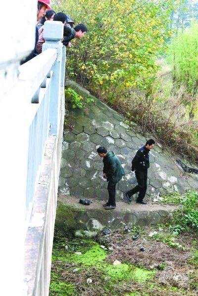 武汉女大学生惨案