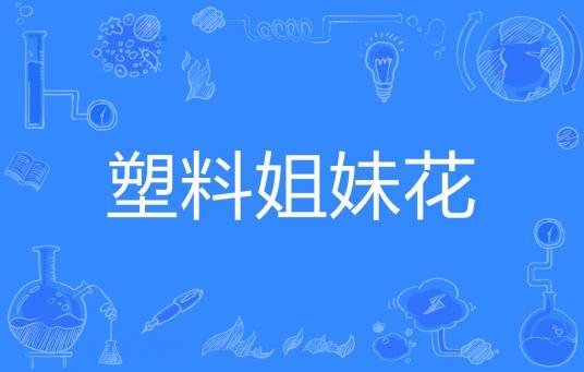 塑料姐妹花（网络流行词）