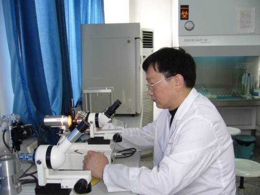 李键（李键（西南民族大学教授））