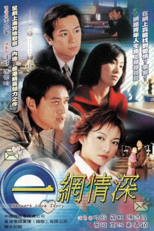 一网情深（2002年李敬华执导的电视剧）