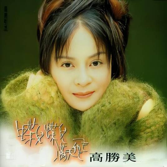 蝶儿蝶儿满天飞（高胜美演唱的歌曲）