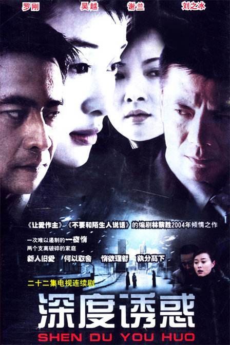 深度诱惑（2004年曾晓欣执导的电视剧）