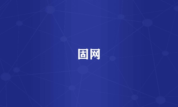 固网
