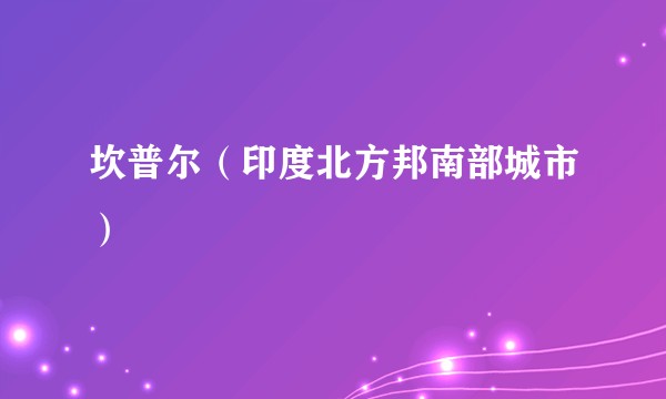 坎普尔（印度北方邦南部城市）