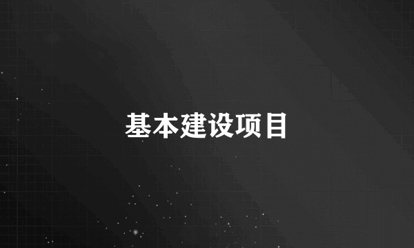 基本建设项目