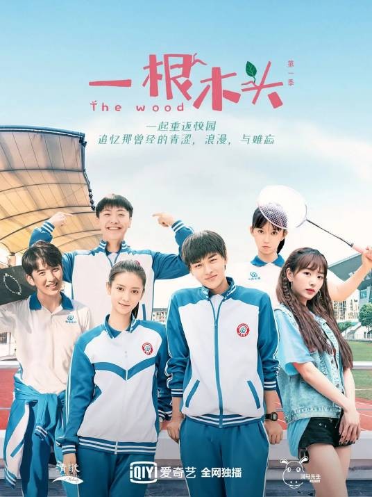 一根木头（2020年江涛执导的校园网剧系列）