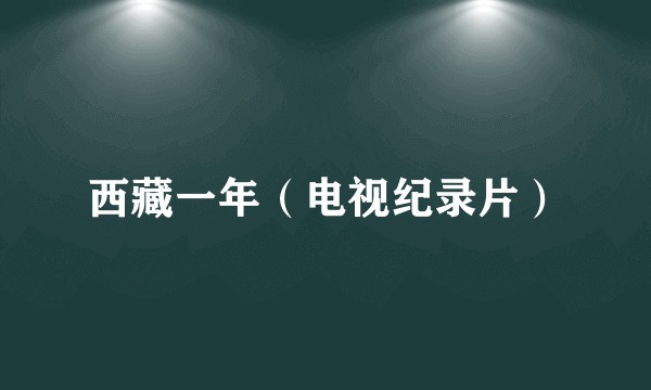 西藏一年（电视纪录片）