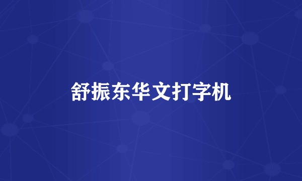 舒振东华文打字机
