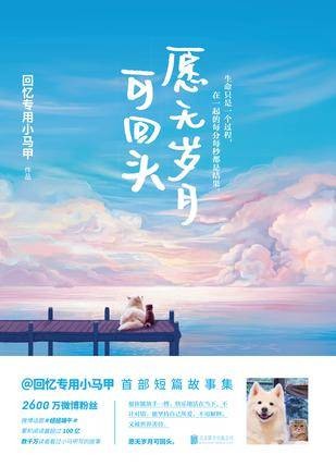 愿无岁月可回头（2016年北京联合出版公司出版的图书）