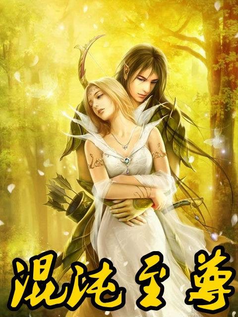 混沌至尊（邪情怨天创作的玄幻类网络小说）
