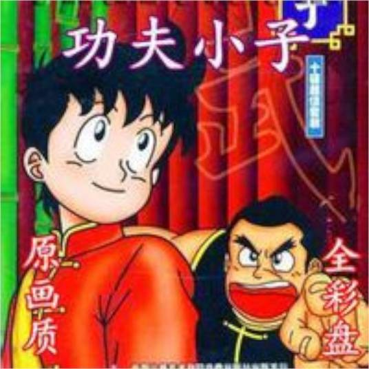 功夫小子（日本大庭寿太郎执导的动画片）