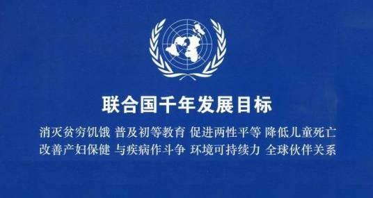 联合国千年发展目标