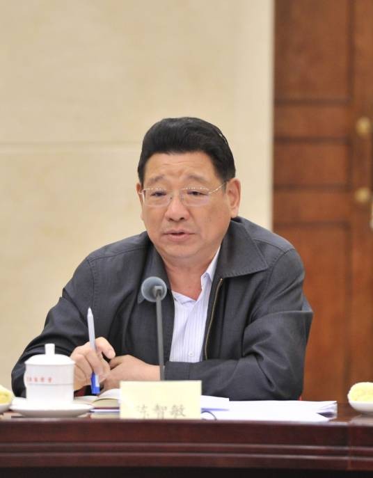 陈智敏（十三届全国政协社会和法制委员会副主任）