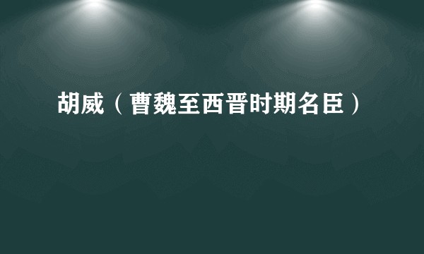 胡威（曹魏至西晋时期名臣）
