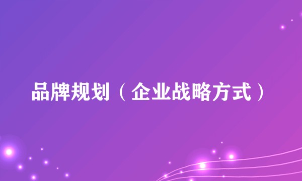 品牌规划（企业战略方式）