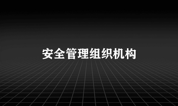 安全管理组织机构