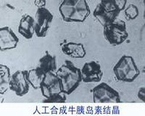结晶牛胰岛素