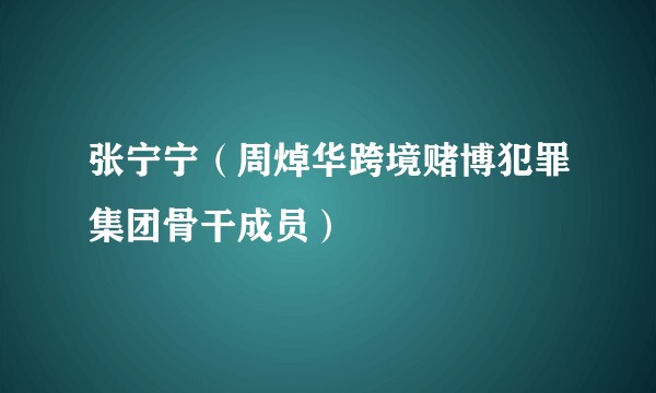 张宁宁（周焯华跨境赌博犯罪集团骨干成员）